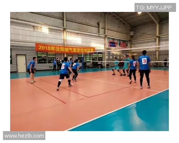 广州排球队在排球比赛经验排行榜中荣登第八名展现强劲实力与潜力